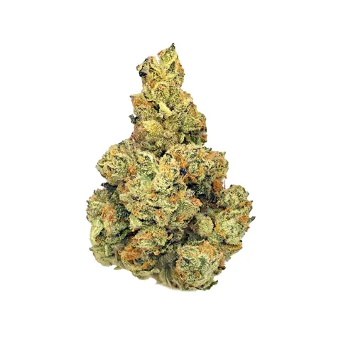 Biscotti (14G) · Sungrown (H) cannabis flower